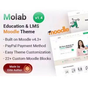 Molab LMS Moodle Theme 1.4